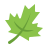 icons8 maple leaf 48